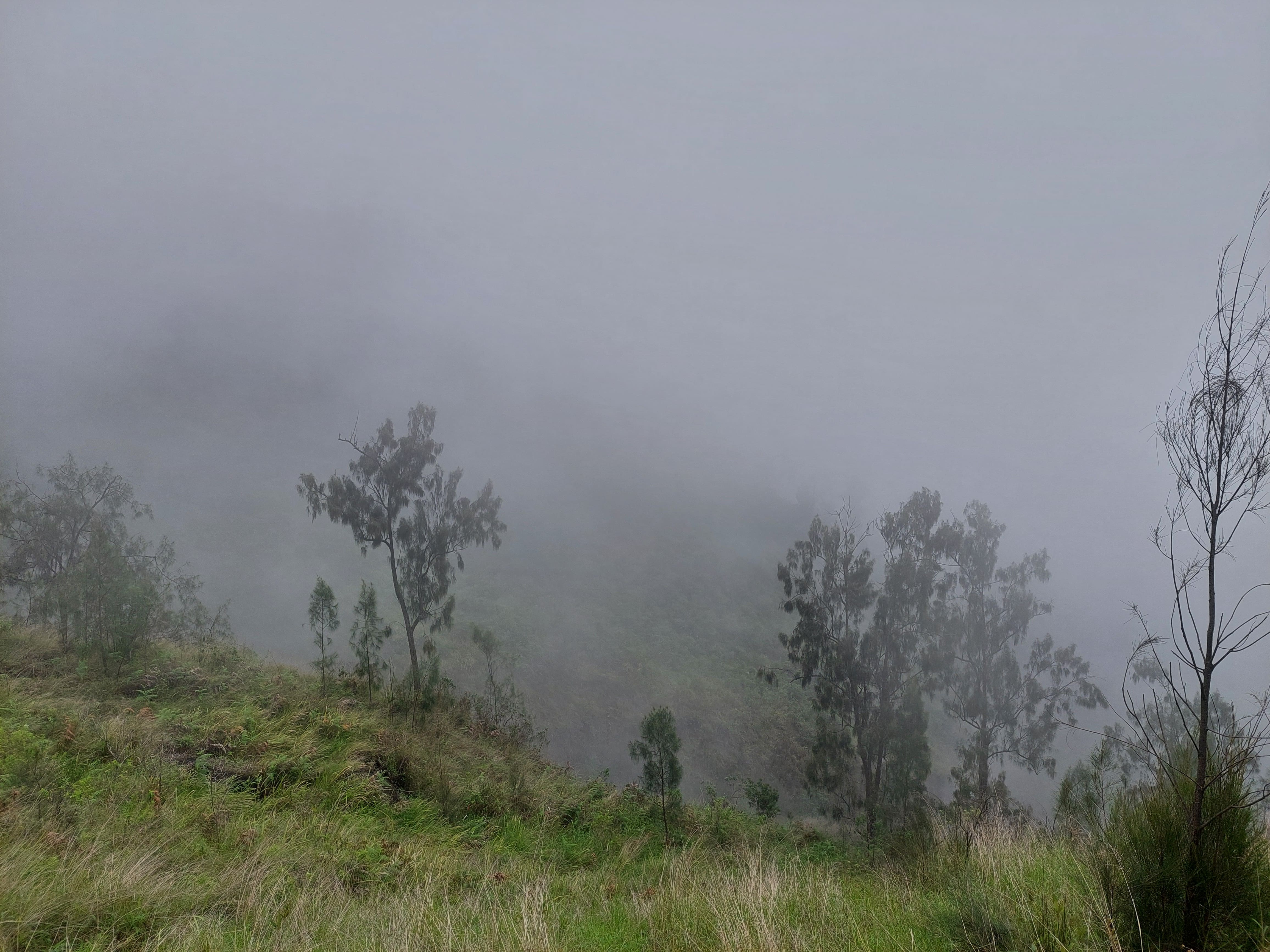 First Trail to Welirang